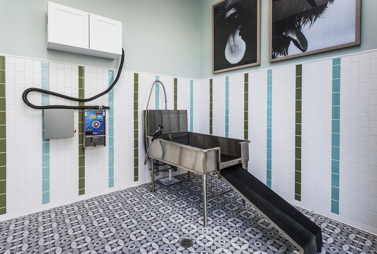 Pet wash at Rivue