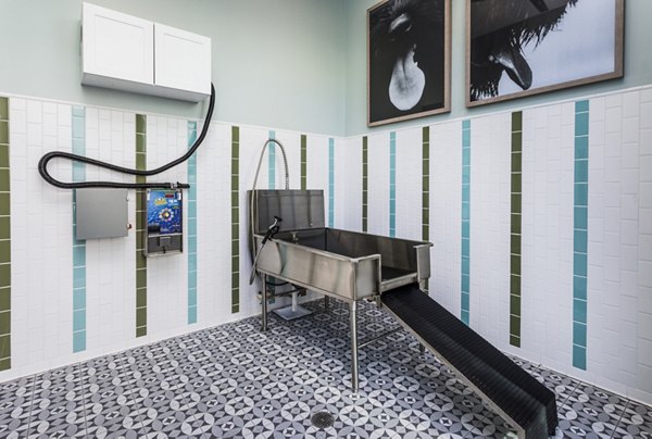 Dog wash station at pet-friendly Rivue Apartments featuring convenient facilities for residents' furry friends