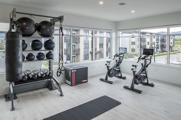 Fitness center with modern equipment at Alexan Diagonal Crossing Apartments