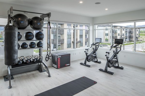 fitness center at Alexan Diagonal Crossing Apartments