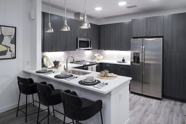 Modern kitchen featuring elegant countertops and stainless steel appliances at Alexan Diagonal Crossing Apartments