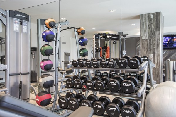 Modern fitness center with state-of-the-art equipment at Areum Apartments for luxury living