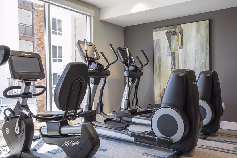 State-of-the-art fitness center with modern equipment at Areum Apartments