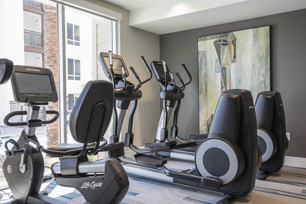 State-of-the-art fitness center with modern equipment at Areum Apartments