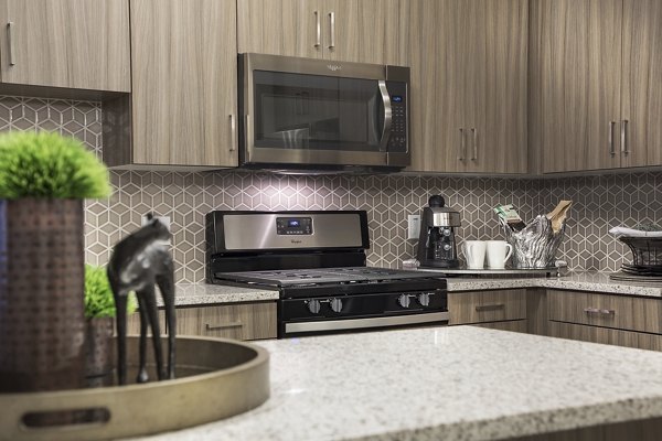 Modern kitchen with stainless steel appliances and granite countertops in Areum Apartments