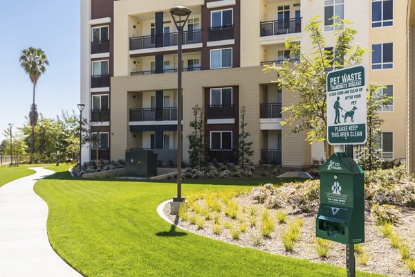 Grass-covered dog park with agility equipment at Areum Apartments perfect for pet-friendly Greystar luxury living