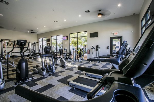 State-of-the-art fitness center with modern equipment at Volare Apartments, ideal for active residents seeking luxury living