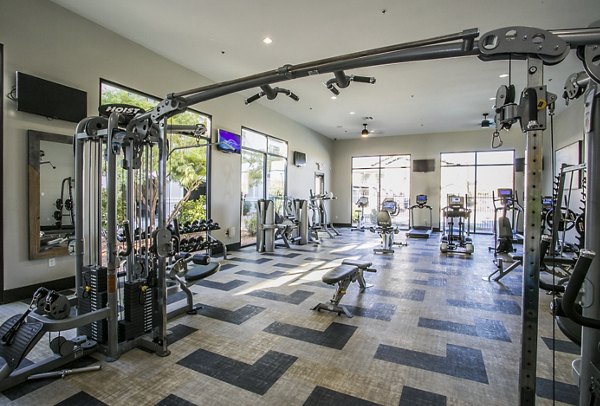 State-of-the-art fitness center with modern equipment at Volare Apartments
