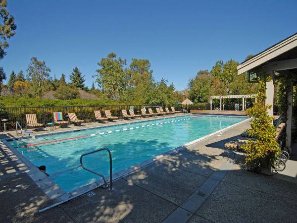 pool at Stanford West Apartments