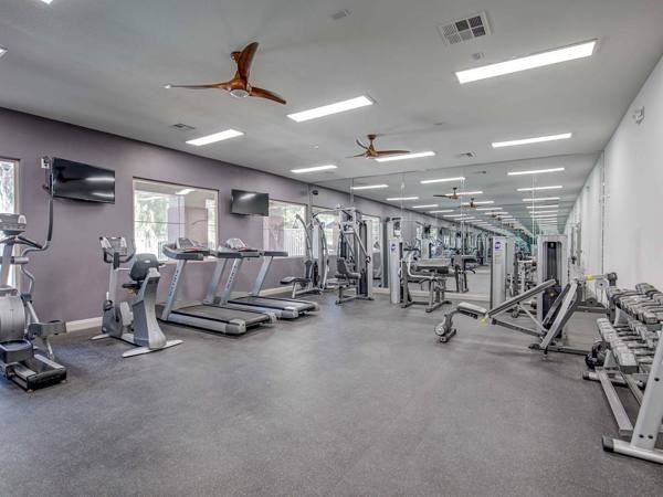 fitness center at Luminous Apartments