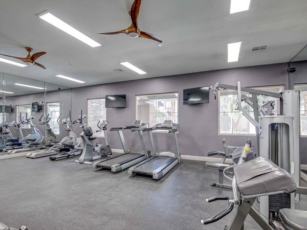 State-of-the-art fitness center with modern equipment at Luminous Apartments