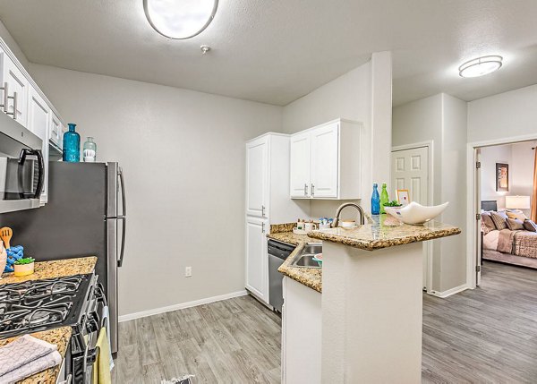 Modern kitchen with stainless steel appliances in Luminous Apartments, luxury living by Greystar