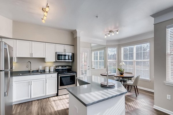 Sleek modern kitchen with stainless steel appliances at Lowry Park Apartments