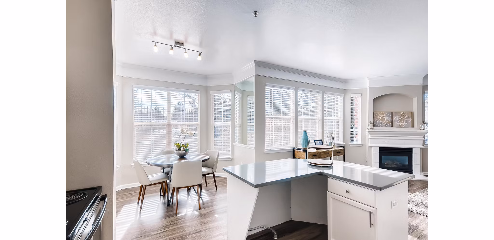 Modern kitchen with sleek cabinetry and stainless appliances in Lowry Park Apartments