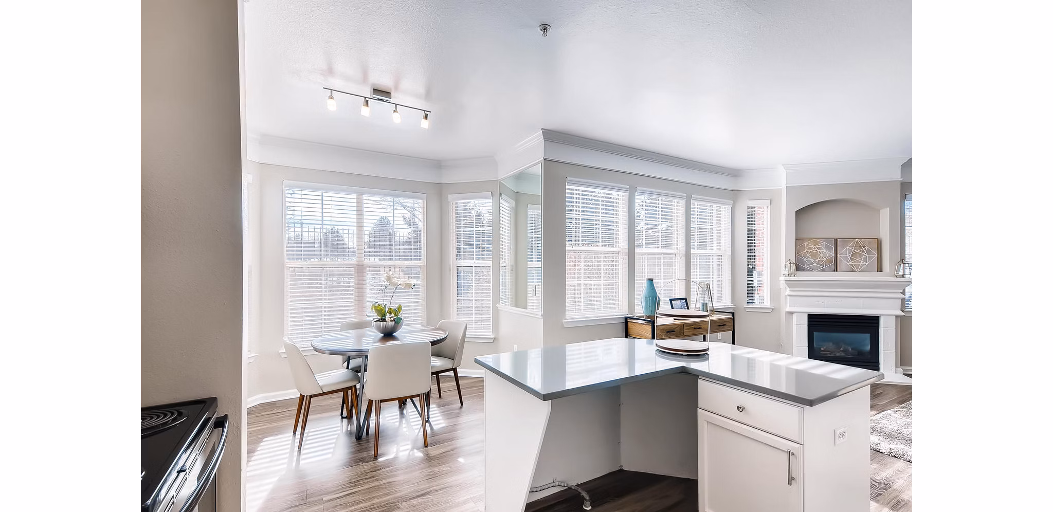 Modern kitchen with sleek cabinetry and stainless appliances in Lowry Park Apartments