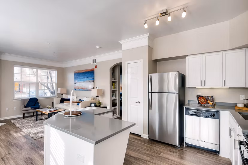 Modern kitchen with stainless steel appliances at Lowry Park Apartments