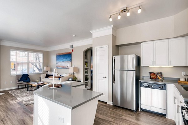 Modern kitchen with stainless steel appliances at Lowry Park Apartments