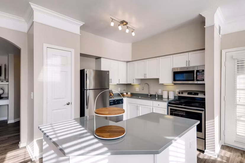 Modern kitchen with stainless steel appliances and white cabinetry in Lowry Park Apartments