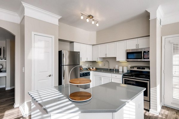 Modern kitchen with stainless steel appliances and white cabinetry in Lowry Park Apartments