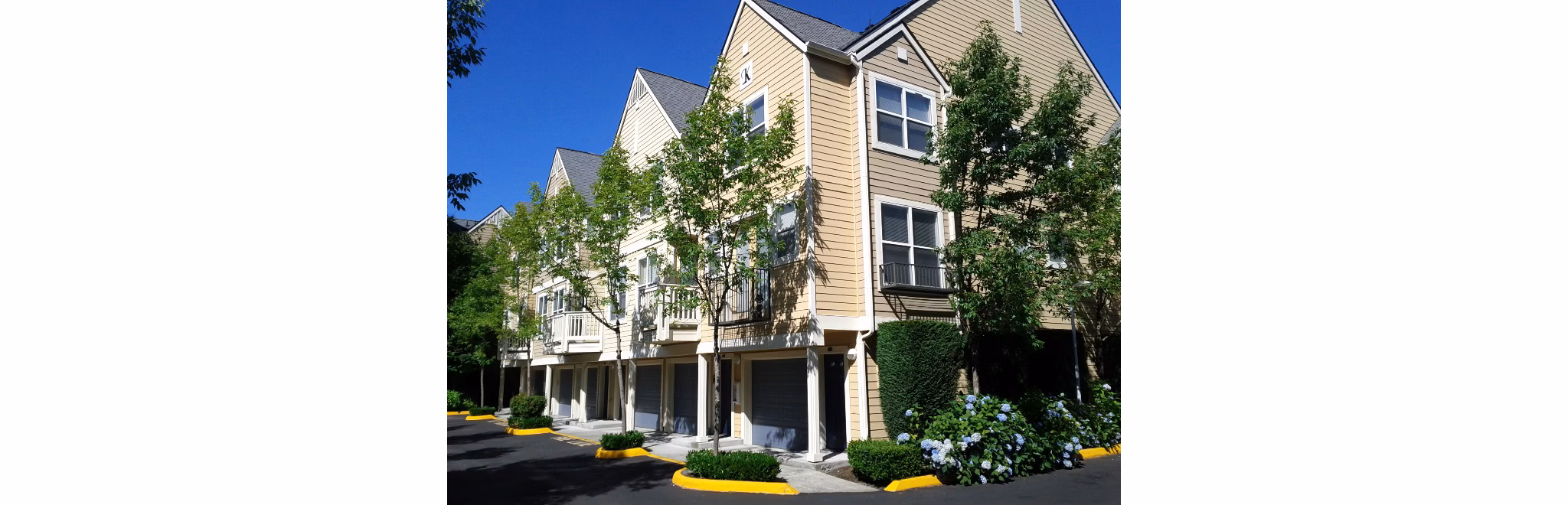 Lions Gate North Apartments: Contemporary luxury apartments with a sleek in vibrant downtown area