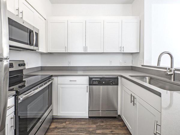 Modern kitchen with stainless steel appliances at Lions Gate North Apartments