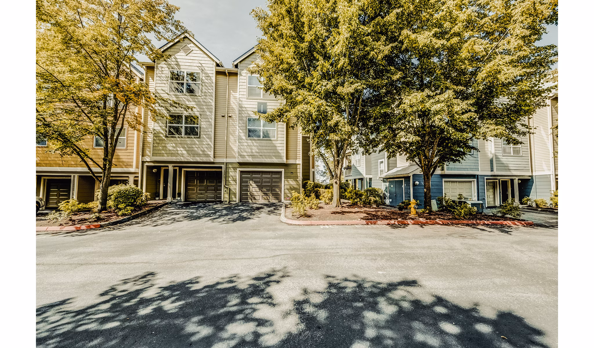Bella Vista Apartments: Elegant of luxury residences in vibrant urban setting