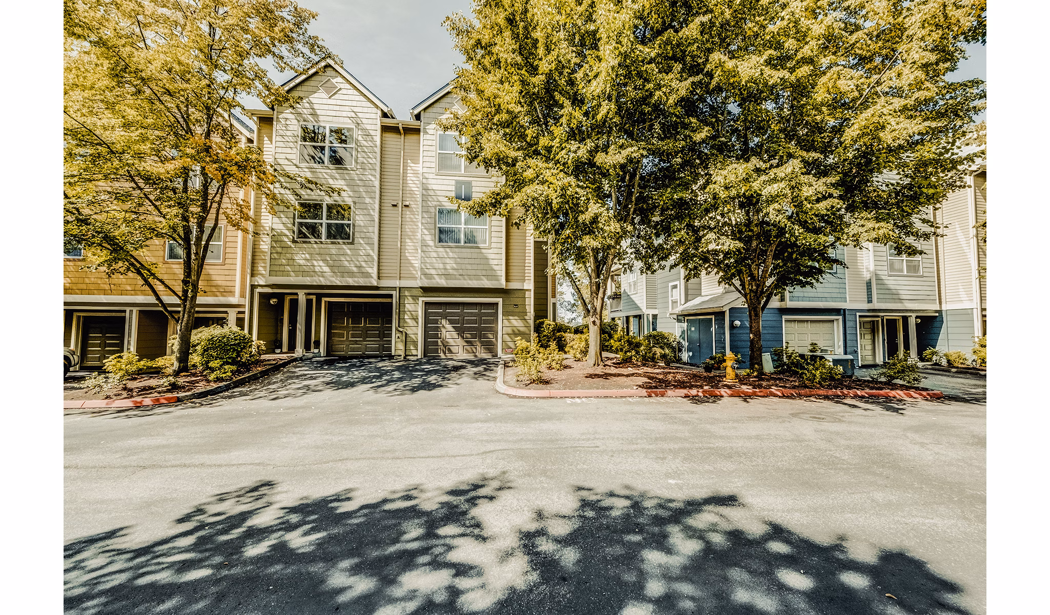 Bella Vista Apartments: Elegant of luxury residences in vibrant urban setting