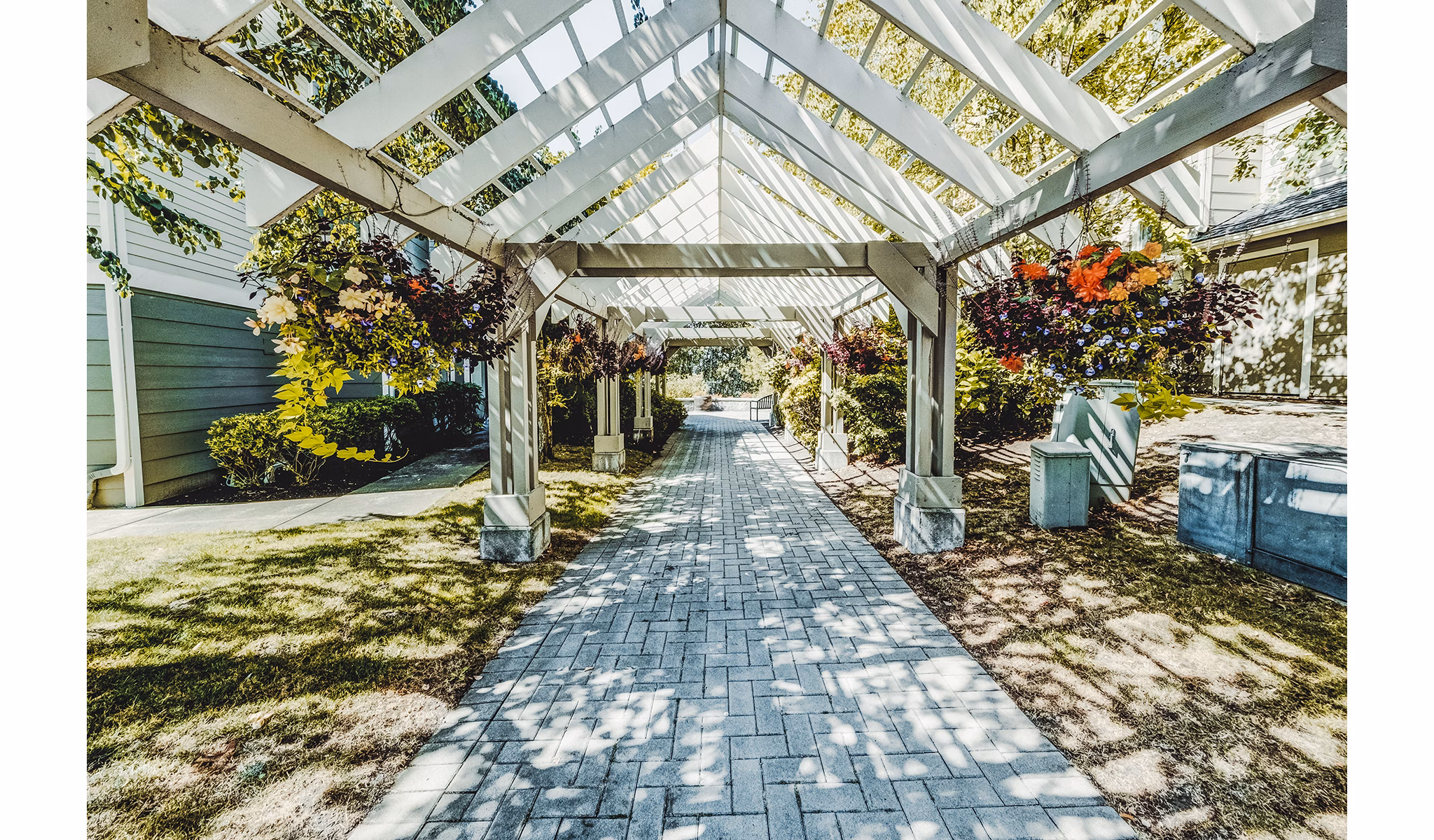 Serene courtyard with lush landscaping at Bella Vista Apartments, a Greystar luxury community