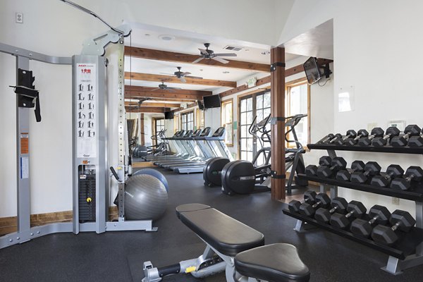 State-of-the-art fitness center featuring modern equipment at La Terraza Apartments