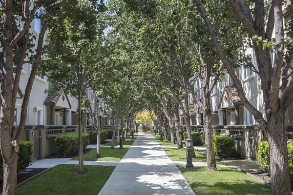 Courtyard with lush gardens at La Terraza Apartments, luxury living by Greystar