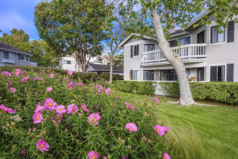 Flower Fields Apartments: Charming modern luxury apartments in vibrant downtown setting