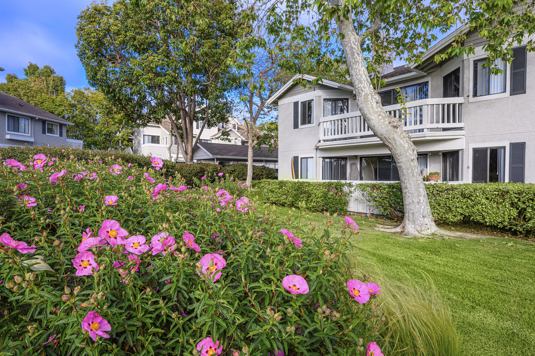 Flower Fields Apartments: Charming modern luxury apartments in vibrant downtown setting