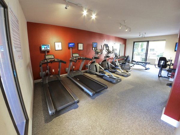 Modern fitness center with state-of-the-art equipment at The Windsor Apartments, a Greystar luxury property in the city