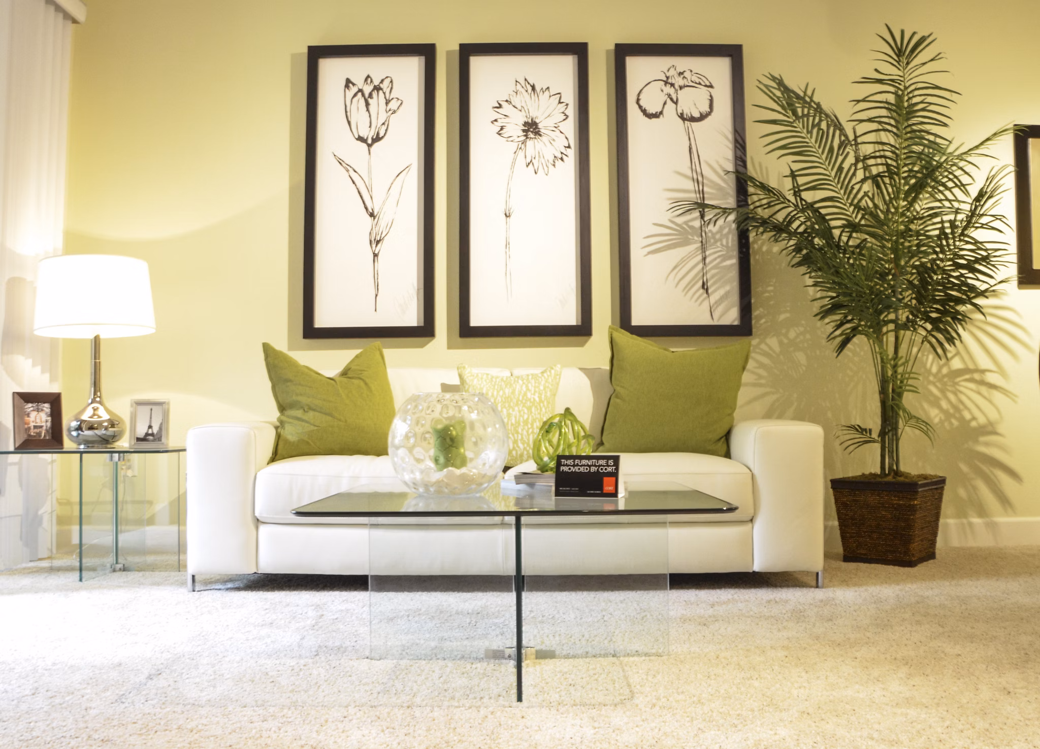 Spacious living room with modern decor at The Windsor Apartments, featuring luxury seating and ample natural light
