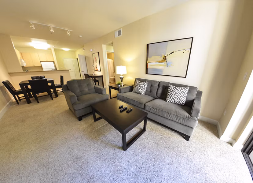 Living room with modern decor and natural light at The Windsor Apartments