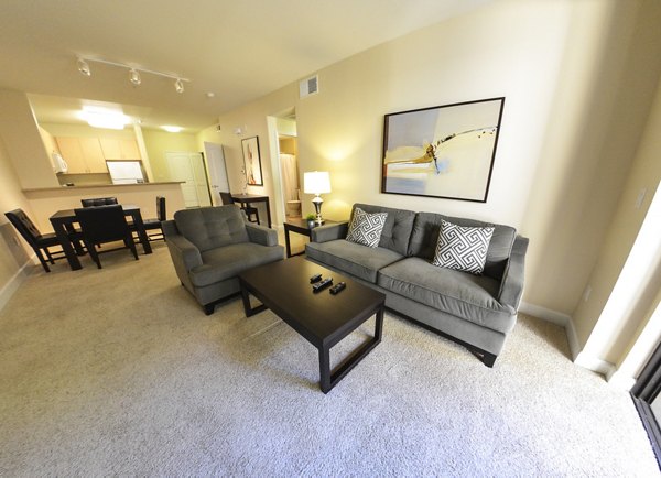 Living room with modern decor and natural light at The Windsor Apartments