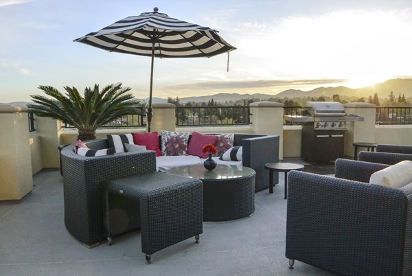 Outdoor grilling station with modern equipment at The Windsor Apartments