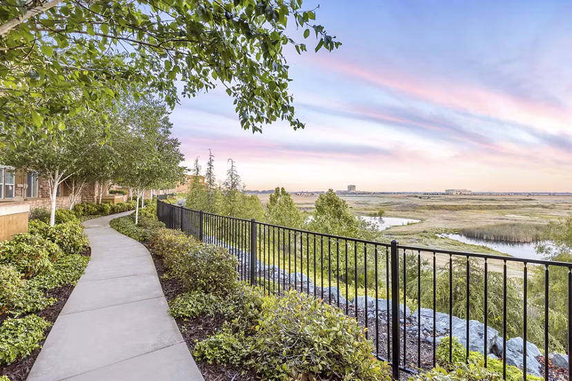 Stunning view of Montessa At Whitney Ranch Apartments' pool area, featuring palm trees and lounge chairs under clear blue skies