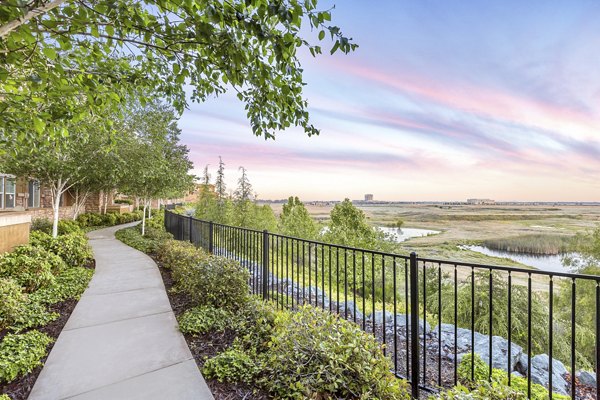 Stunning view of Montessa At Whitney Ranch Apartments' pool area, featuring palm trees and lounge chairs under clear blue skies