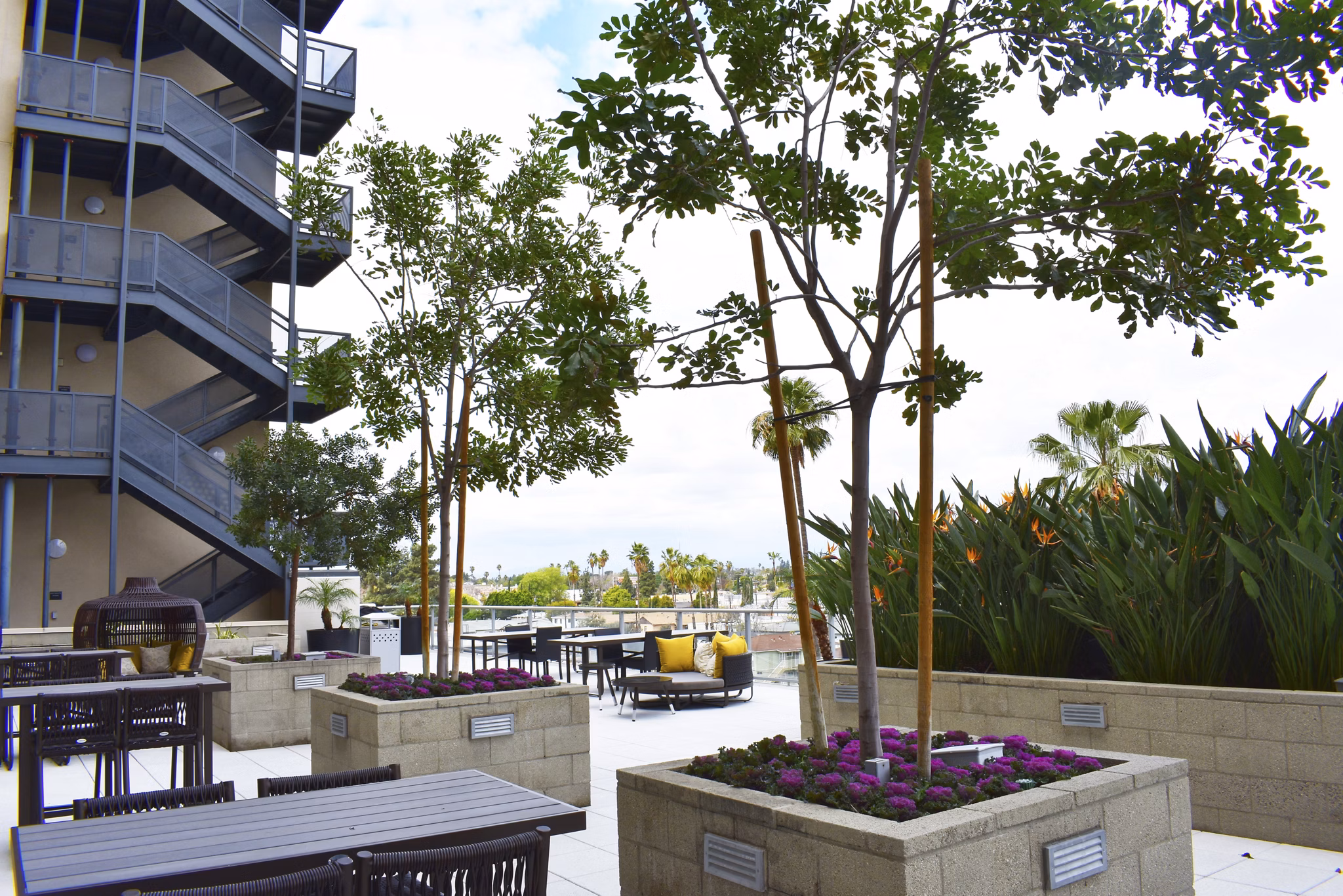 Recreational area with modern design at NoHo 14 Apartments, showcasing open spaces and leisure facilities in a luxury setting