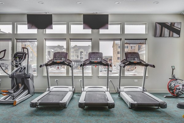 Fitness-focused fitness center with modern equipment at Bria Apartments