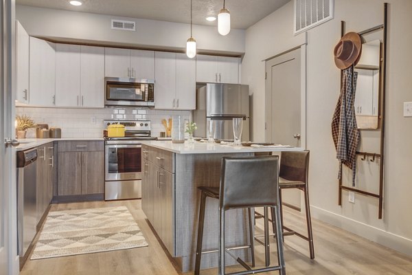 Sleek kitchen with modern stainless steel appliances at Bria Apartments, offering luxury living in an elegant setting