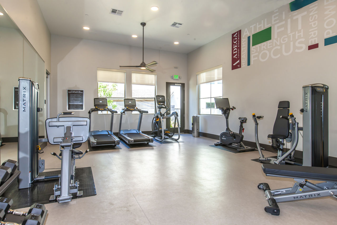 Gym at Adega (1 of 3)