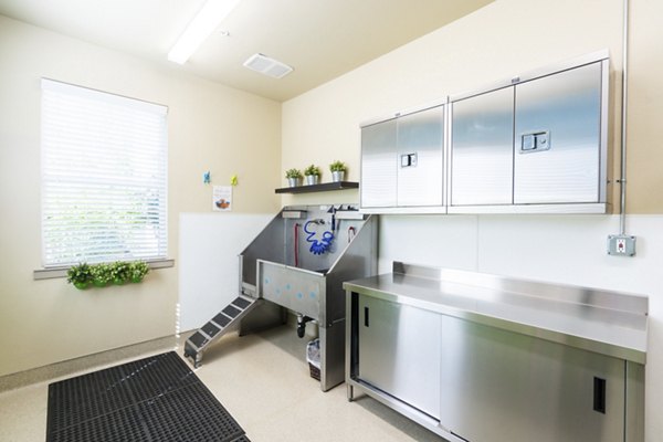 dog wash station at LINQ Midtown Apartments