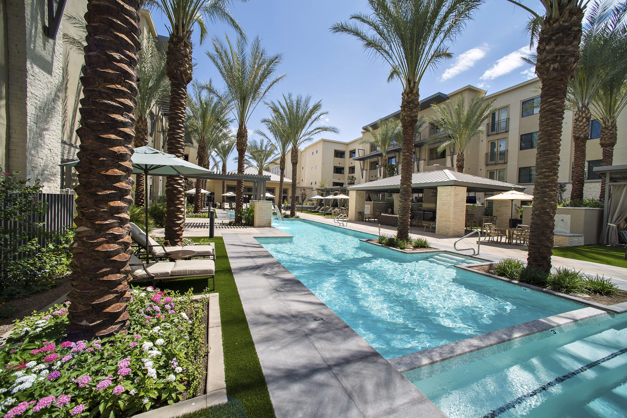 pool at The Lincoln Scottsdale Apartments