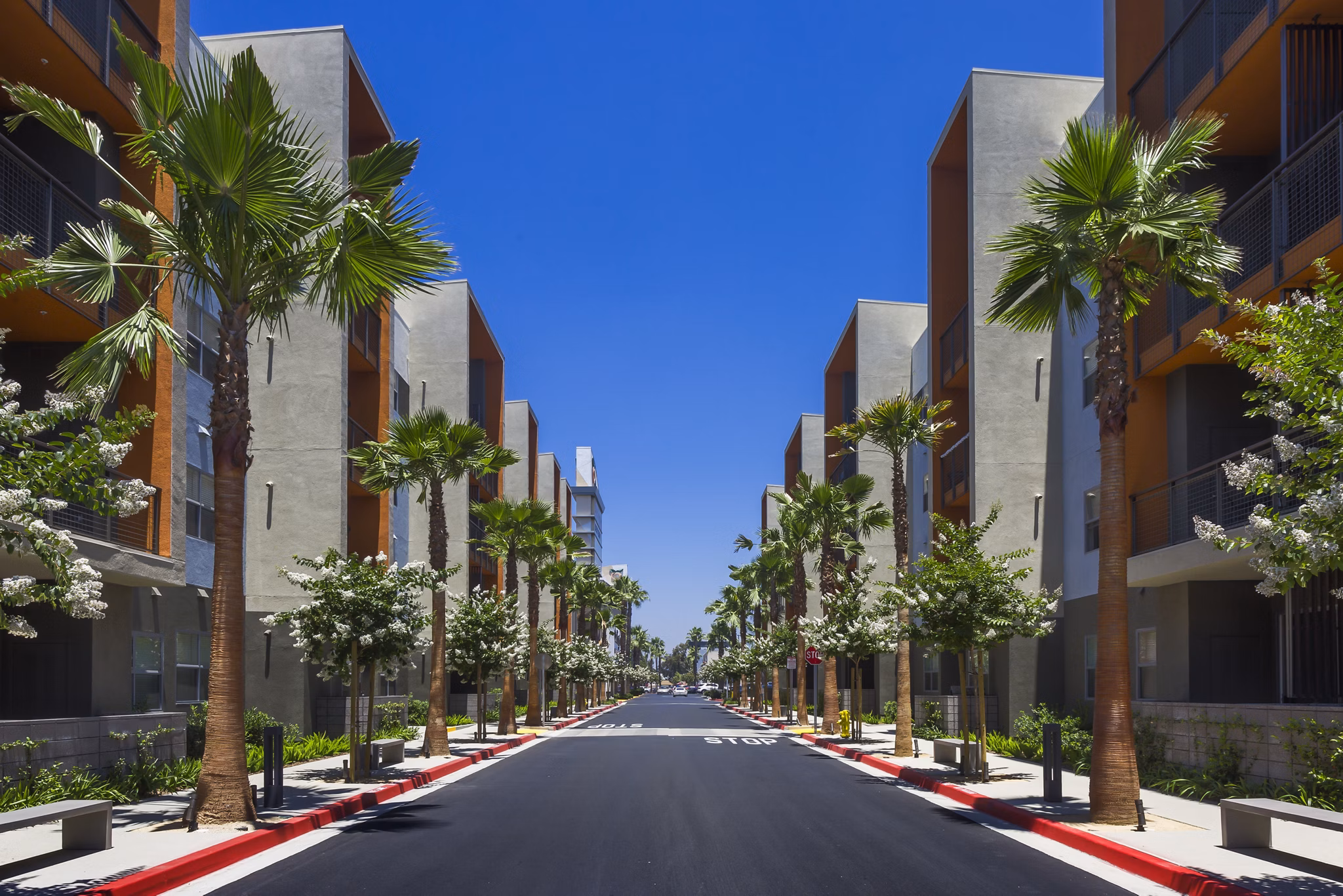 Aspect Apartments: Contemporary luxury apartments in vibrant urban setting