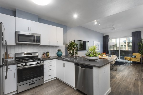 Stylish kitchen featuring modern appliances and granite countertops at Aspect Apartments luxury living