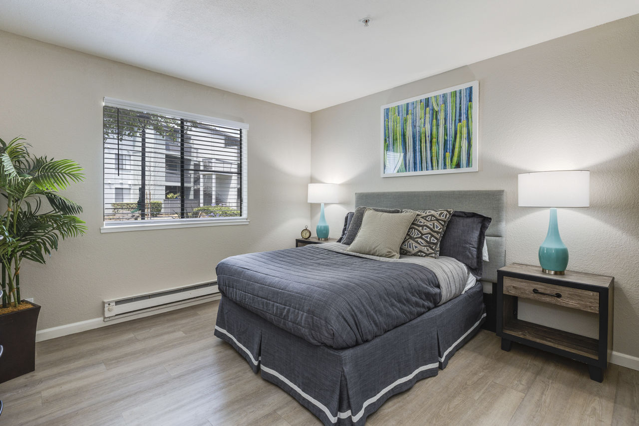 The Dutton Apartments 23 of 30