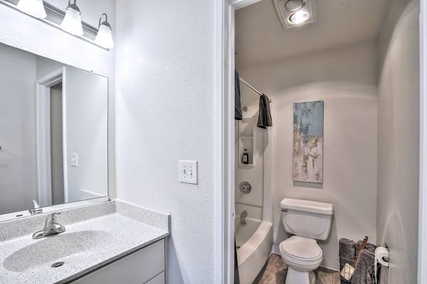 bathroom at Alvista at the Bridge Apartments