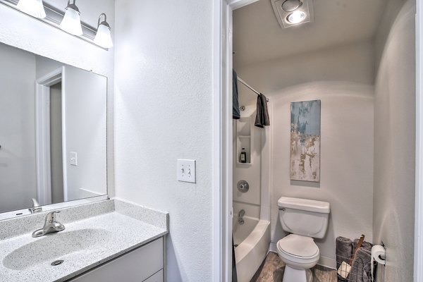 Elegant bathroom with modern fixtures in Alvista at the Bridge Apartments, offering luxury living in a prestigious Greystar community